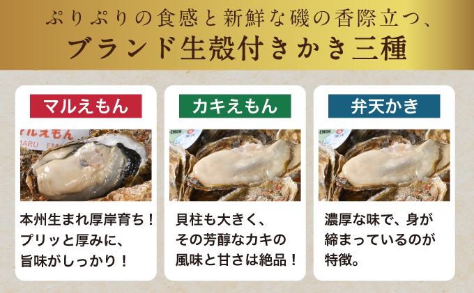 2026年2月発送 北海道 厚岸産 殻かき三種 食べ比べ セット 魚貝類 海鮮 海の幸 生牡蠣 生食用 オイスター 濃厚 弁天かき カキえもん マルえもん 