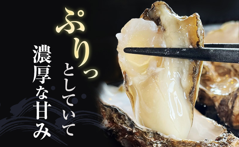 牡蠣 厚岸産殻牡蠣 LLサイズ 15個 セット 魚介類 産地直送 生牡蠣 オイスター 海の幸 海鮮 生食用 生食用牡蠣 