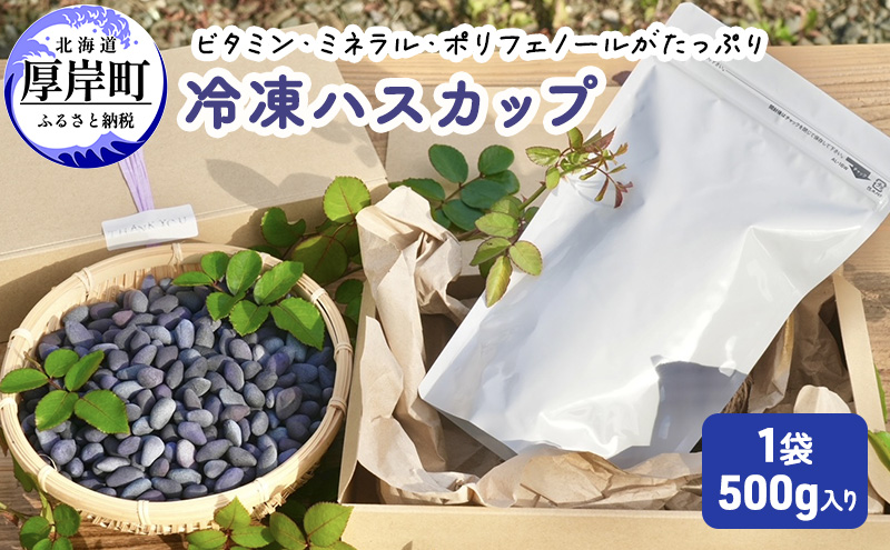 厚岸ハスカ 冷凍ハスカップ 1袋（500g） アントシアニン スーパーフード 果実 ビタミン ミネラル 抗酸化作用 ポリフェノール 北海道産 