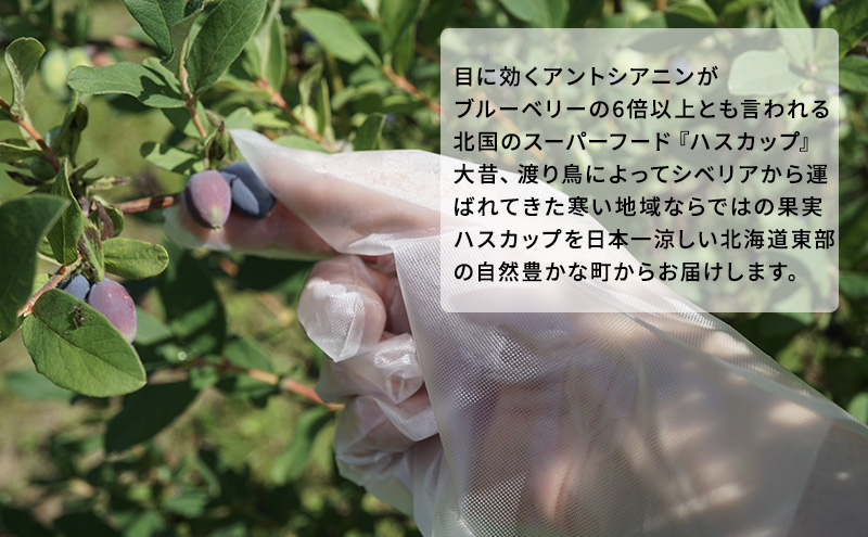 厚岸ハスカ 冷凍ハスカップ 1袋（750g） アントシアニン スーパーフード 果実 ビタミン ミネラル 抗酸化作用 ポリフェノール 北海道産 