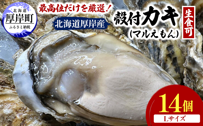 北海道 厚岸産 ブランド牡蠣 マルえもん 殻付き 牡蠣 Lサイズ 14個 【光輝】 [ 魚貝類 生牡蠣 海鮮 海の幸 生食用牡蠣 生食用 生食用殻付き牡蠣 濃厚 甘み  オイスター ]  