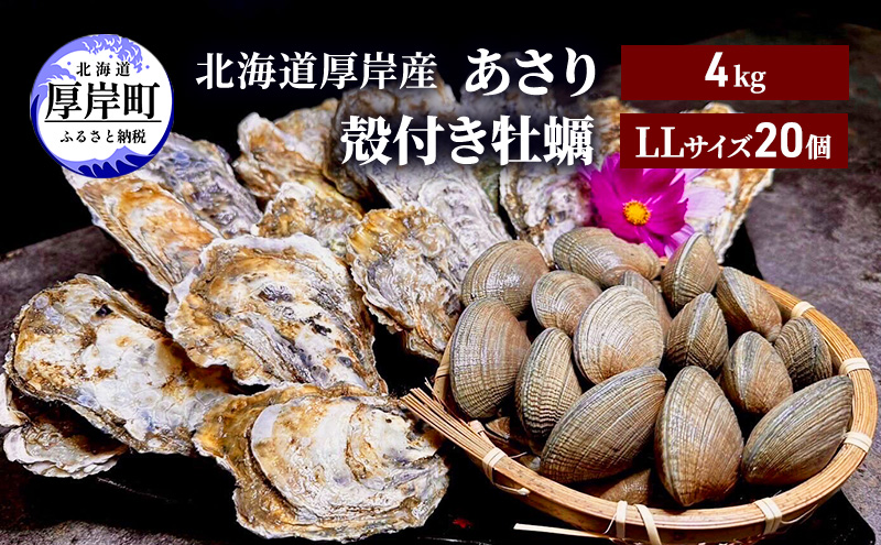 北海道 厚岸産 砂抜き済み あさり 4kg ＆ ブランド牡蠣 マルえもん 殻付き LLサイズ 20個 【光輝】 [ 魚貝類 海鮮 海の幸 みそ汁 酒蒸し アサリバタ 産地直送 生食用牡蠣 生食用 牡蠣 カキ ］
