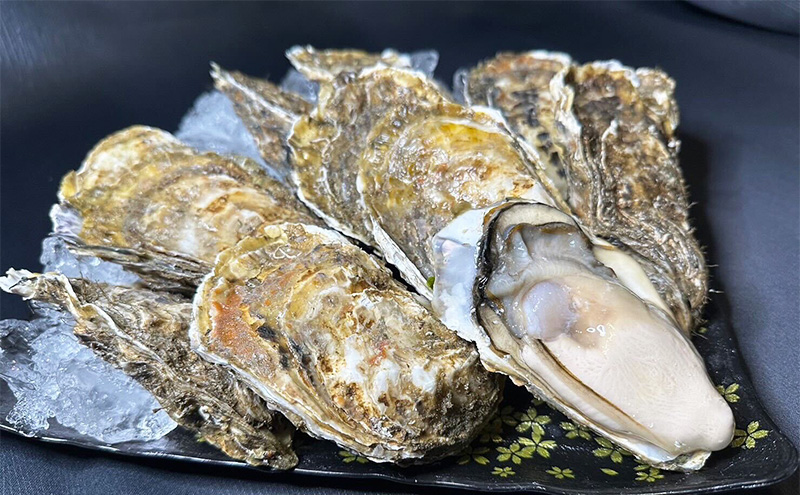 北海道 厚岸産 砂抜き済み あさり 4kg ＆ ブランド牡蠣 マルえもん 殻付き LLサイズ 20個 【光輝】 [ 魚貝類 海鮮 海の幸 みそ汁 酒蒸し アサリバタ 産地直送 生食用牡蠣 生食用 牡蠣 カキ ］