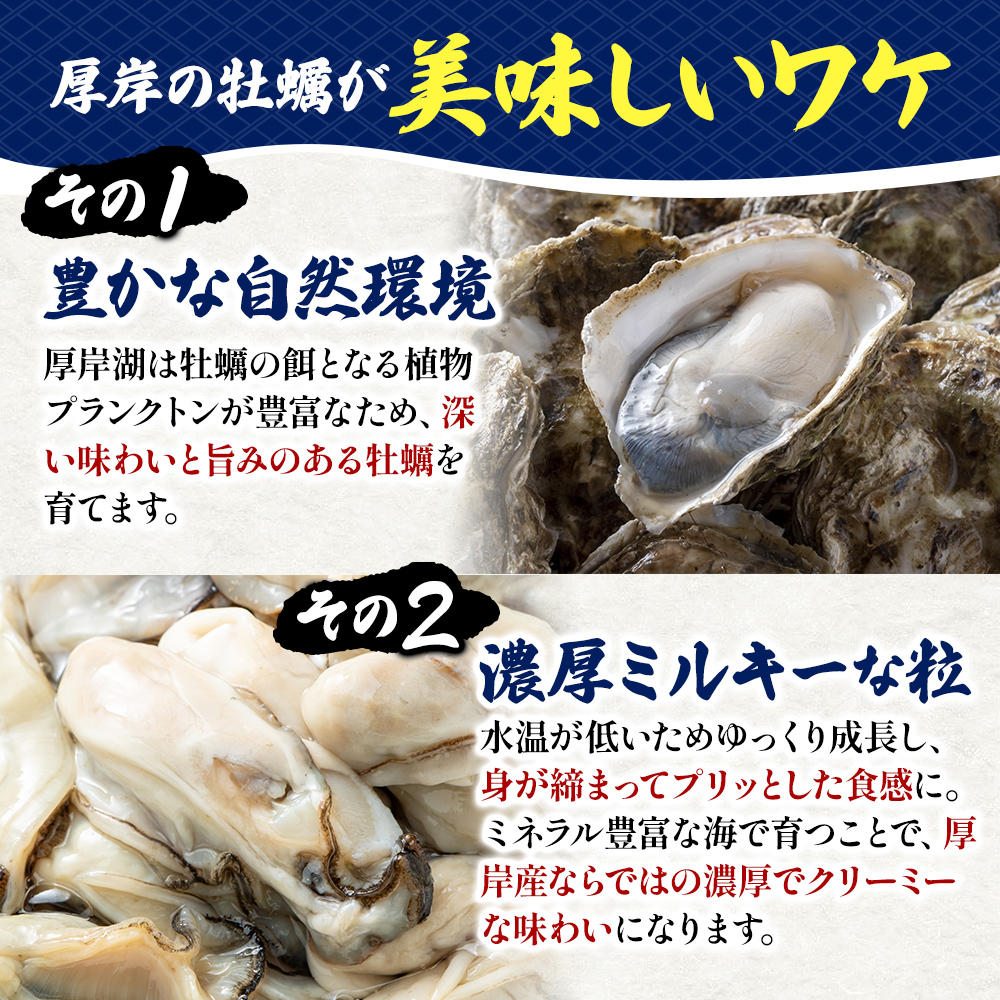 北海道 厚岸産 砂抜き済み あさり 4kg ＆ ブランド牡蠣 マルえもん 殻付き LLサイズ 20個 【光輝】 [ 魚貝類 海鮮 海の幸 みそ汁 酒蒸し アサリバタ 産地直送 生食用牡蠣 生食用 牡蠣 カキ ］