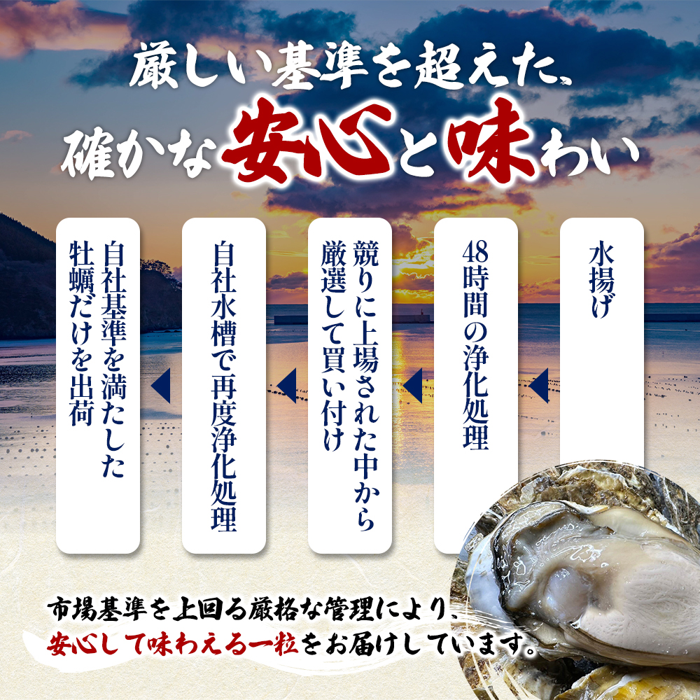 北海道 厚岸産 ブランド牡蠣 マルえもん 殻付き 牡蠣 Lサイズ 40個 【光輝】 [ 魚貝類 生牡蠣 海鮮 海の幸 生食用牡蠣 生食用 生食用殻付き牡蠣 濃厚 甘み  オイスター ]  