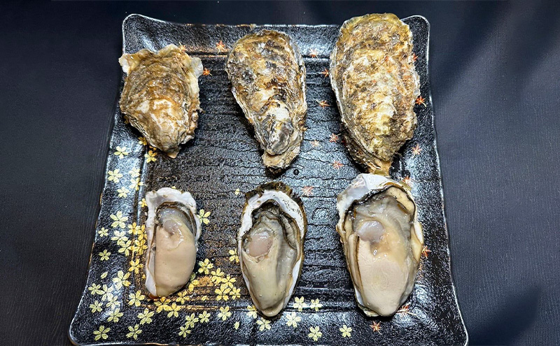 訳あり 北海道 厚岸産  殻付き 牡蠣 1kg 【光輝】 [ 魚貝類 生牡蠣 海鮮 海の幸 生食用牡蠣 生食用 生食用殻付き牡蠣 濃厚 甘み  オイスター ]  