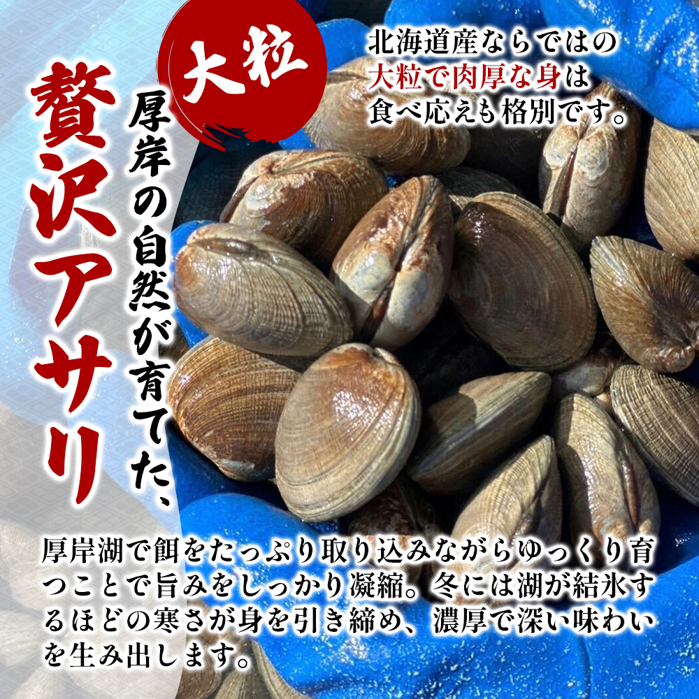 訳あり 北海道 厚岸産 砂抜き済み あさり400g ＆ 殻付き 牡蠣  400g 【光輝】 [ 魚貝類 海鮮 海の幸 みそ汁 酒蒸し アサリバタ 産地直送 生食用牡蠣 生食用 牡蠣 カキ ］