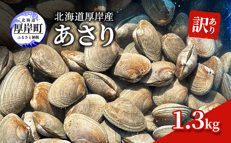 訳あり 北海道 厚岸産 砂抜き済み あさり 1.3kg【光輝】 [ 海産物 海の幸 味が濃い 貝類 貝 みそ汁 酒蒸し アサリバター 食材 食べ物 パスタ ] 