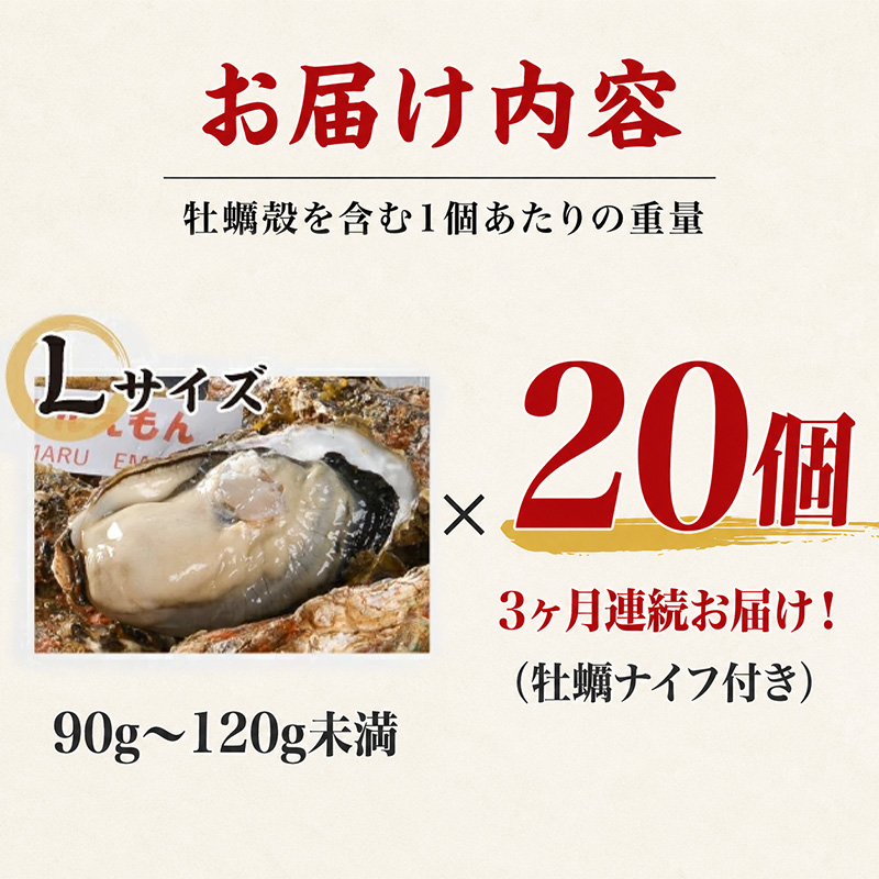 定期便 3ヶ月 北海道 厚岸産 牡蠣 Lサイズ 20個 (各回20個×3ヶ月分,合計60個) 殻付き 生食 カキナイフ付き かき カキ 生牡蠣 魚介類 貝 マルえもん