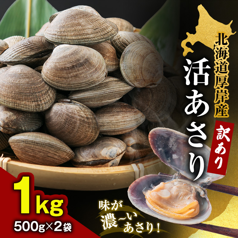 訳あり あさり 北海道 厚岸産 砂出し済み 活あさり 1kg(500g×2)【厚岸海産】[ アサリ 浅利 魚貝 海鮮 大粒 美味しい 栄養 旨み 砂出し 水洗い 冷蔵 便利 厚岸町 ]