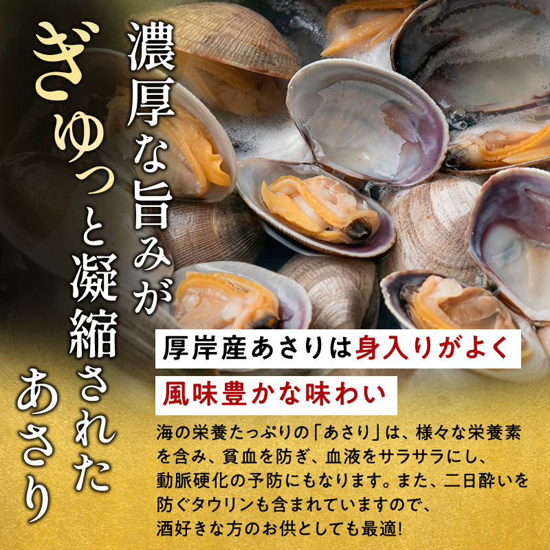 訳あり あさり 北海道 厚岸産 砂出し済み 活あさり 1kg(500g×2)【厚岸海産】[ アサリ 浅利 魚貝 海鮮 大粒 美味しい 栄養 旨み 砂出し 水洗い 冷蔵 便利 厚岸町 ]