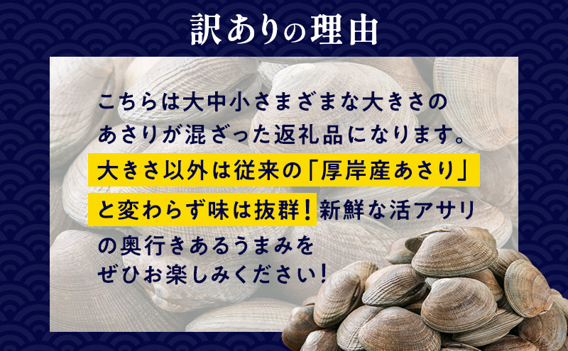 あさり 訳あり 北海道 厚岸産 砂出し済み 活あさり 500g×2 (合計1kg) 【厚岸海産】[ アサリ 魚貝 海鮮 大粒 美味しい 栄養 旨み 砂出し 水洗い 冷蔵 便利 ] 