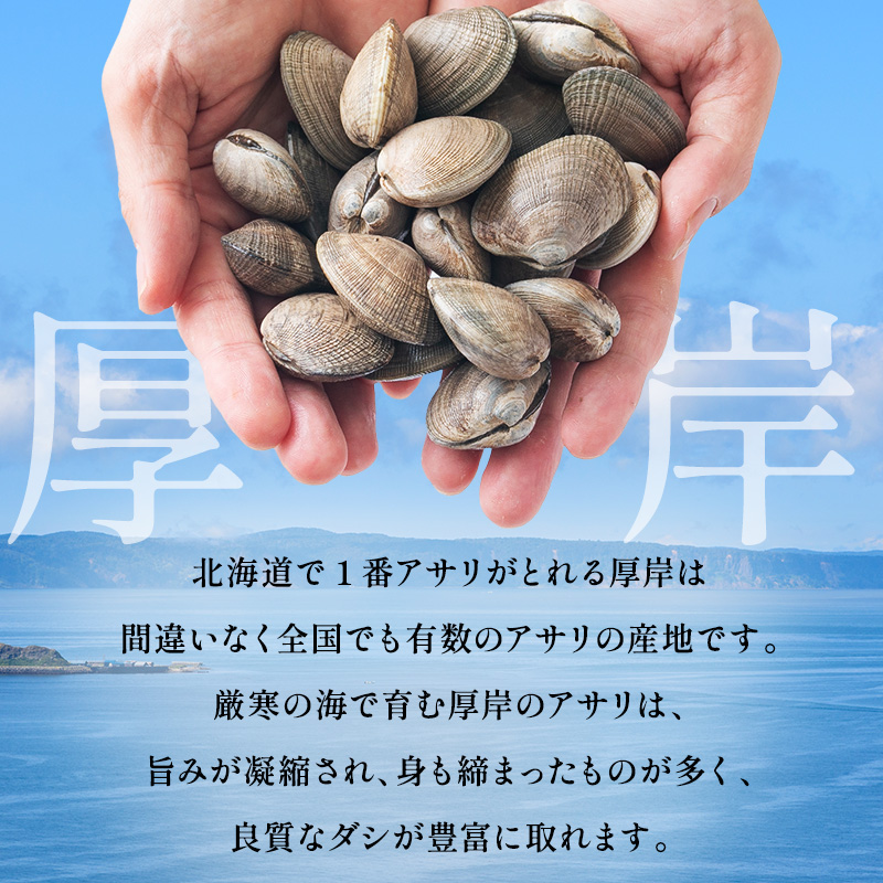 3ヵ月 定期便 訳あり あさり 北海道 厚岸産 砂出し済み 活あさり 1kg(500g×2)【厚岸海産】[ アサリ 浅利 魚貝 海鮮 大粒 美味しい 栄養 旨み 砂出し 水洗い 冷蔵 便利 厚岸町 ]