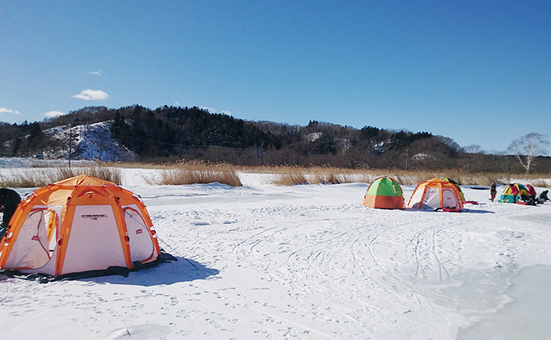 北海道厚岸町 寄附のみの応援受付 5,000円コース（返礼品なし 寄附のみ 5000円） 支援 自治体支援 