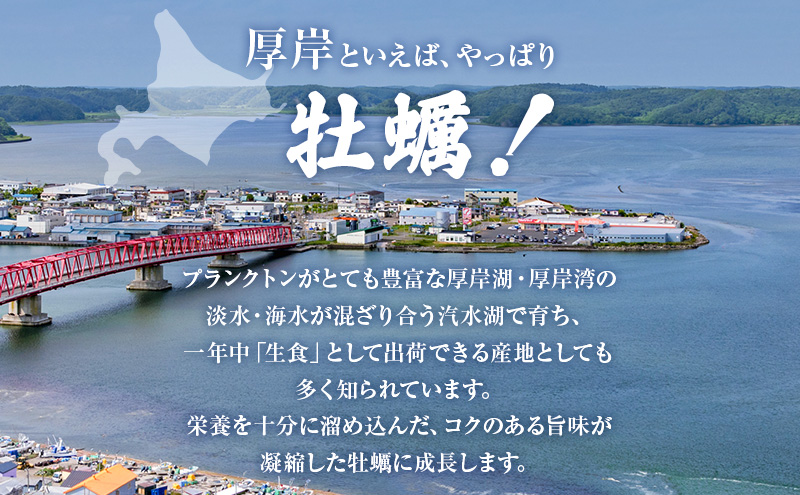 厚岸産 牡蠣 「マルえもん」 LLサイズ 30個 (約4kg) と 厚岸産 あさり 1kg セット (合計約5kg) 牡蠣 あさり 貝類 魚貝類 加工食品 カキ シーフード マルえもん