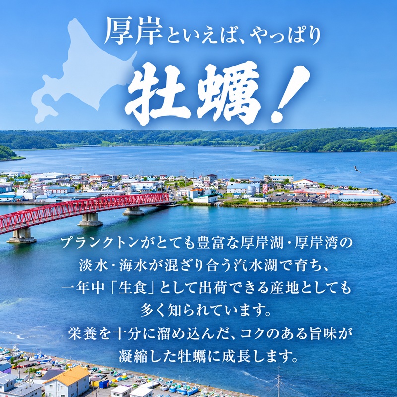 先行予約 厚岸町 新ブランド『 弁天かき 』 Mサイズ 18個  北海道 牡蠣 カキ かき 生食 生食用 生牡蠣 魚貝類 メルマガ掲載商品2 