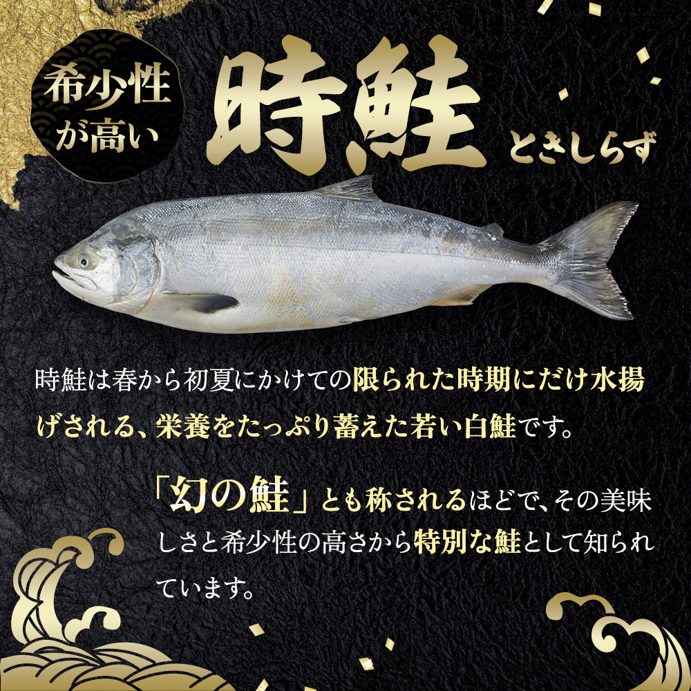 鮭フレーク 時鮭 焼ほぐし身 960g (80g×12) 無添加・無着色 塩のみ【厚岸マルスイ】[ 鮭 ほぐし 魚 サーモン お茶漬け おにぎり チャーハン 米 お弁当 ]