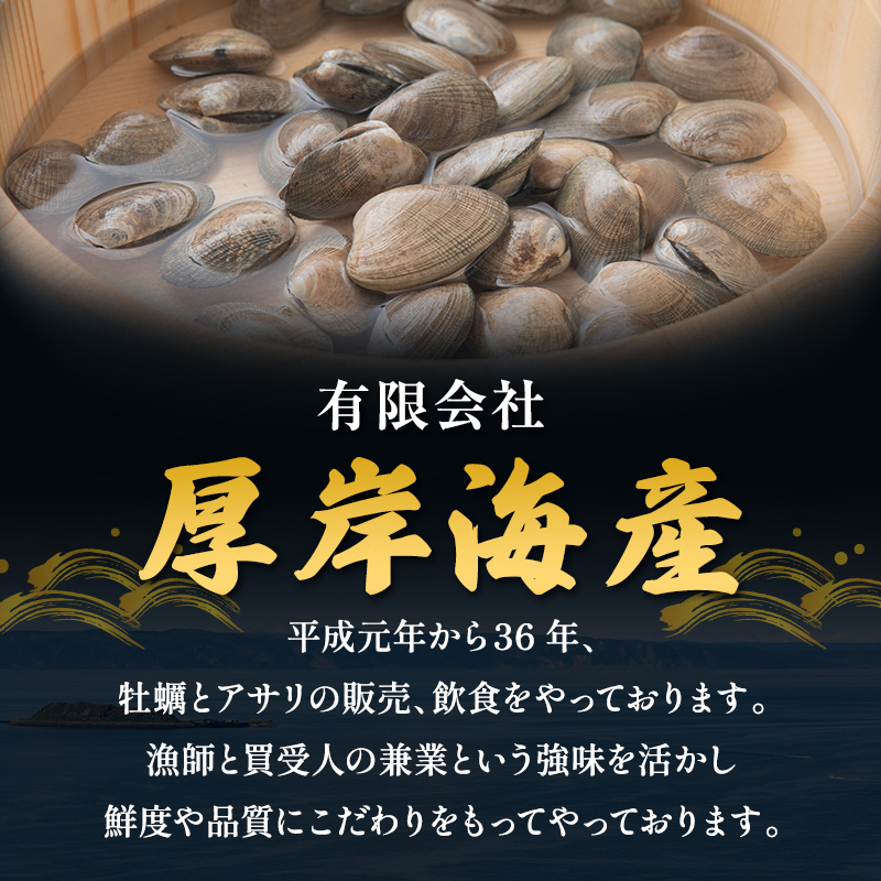 訳あり あさり 北海道 厚岸産 砂出し済み 活あさり 1kg(500g×2)【厚岸海産】[ アサリ 浅利 魚貝 海鮮 大粒 美味しい 栄養 旨み 砂出し 水洗い 冷蔵 便利 厚岸町 ]