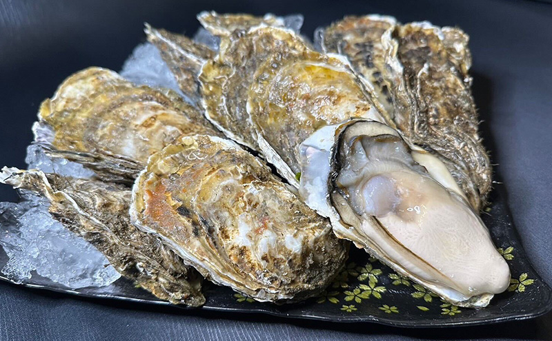 【お歳暮】北海道 厚岸産 砂抜き済み あさり 1kg ＆ ブランド牡蠣 マルえもん 殻付き LLサイズ 20個 【光輝】 [ 魚貝類 海鮮 海の幸 みそ汁 酒蒸し アサリバタ 産地直送 生食用牡蠣 生食用 牡蠣 カキ 
