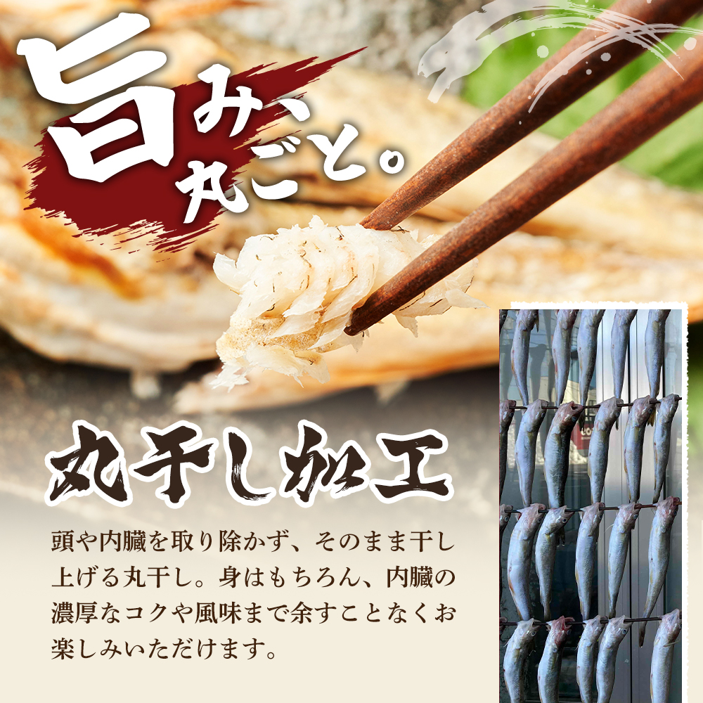 先行予約 2027年2月発送  北海道 厚岸産 丸干しコマイ 190g×4パック ソウルフード 魚貝類 干物 焼魚 おつまみ 冷凍 厚岸湖 天日干し 焼くだけ おかず 