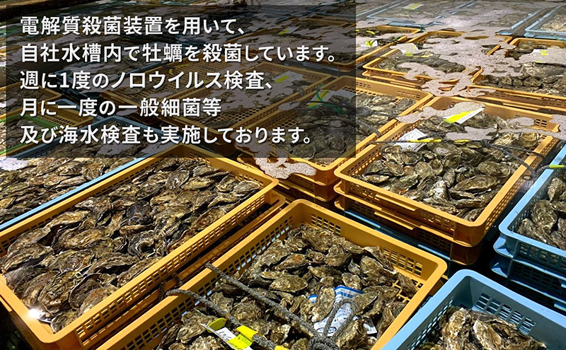 厚岸で産まれ30ヵ月育成 北海道 厚岸産 牡蠣 カキえもん LLサイズ 20個 カキ 