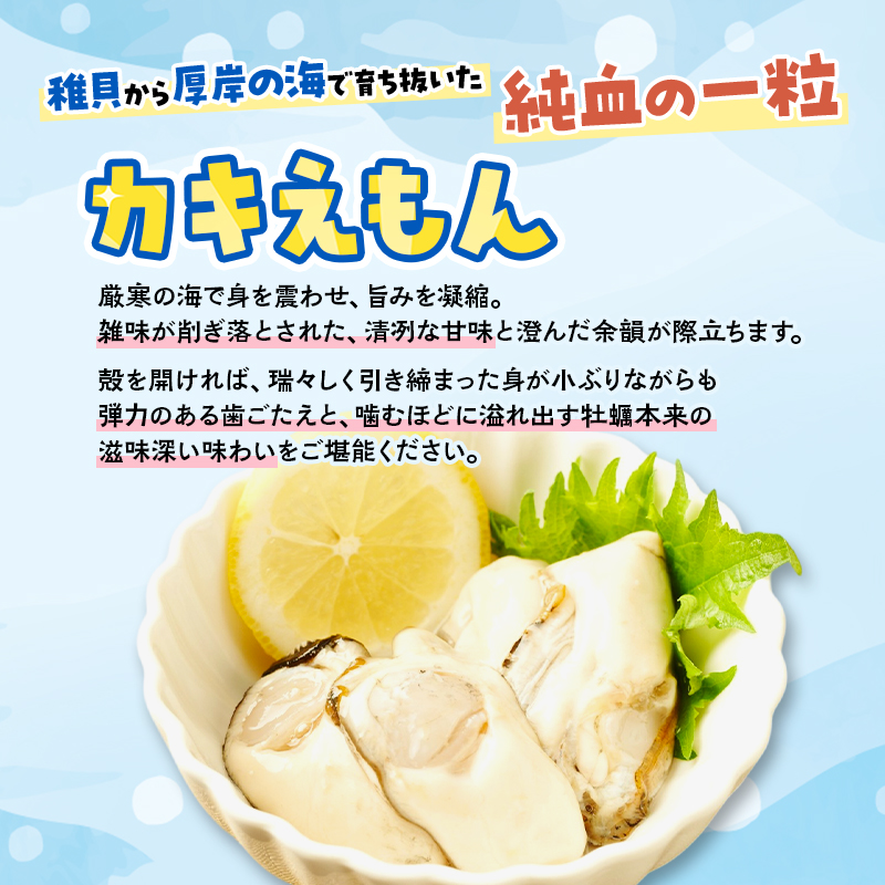 カキ 北海道 厚岸産 ムキえもん 500g  カキの剥き身 牡蠣 カキ かき カキえもん