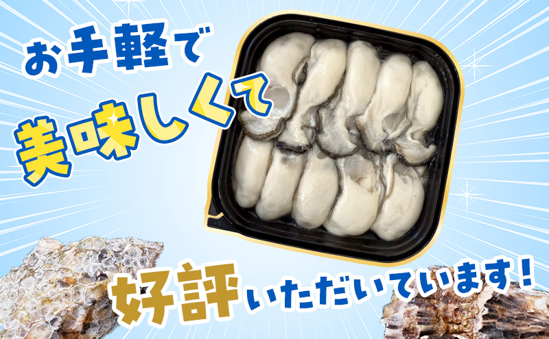 6ヵ月 定期便 牡蠣 生食 むき身 300g×1 無水パック 北海道 厚岸産 ちょびっと 牡蠣むいちゃいました【マルユウ海楽】[ カキ 牡蠣 貝 海のミルク ブランド牡蠣 海鮮 国産 むきかき 剥き身 少量 オイスター マルえもん ]