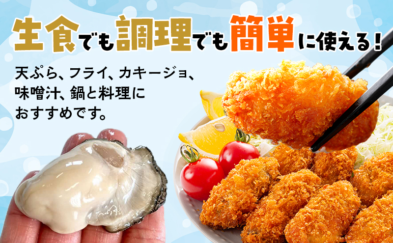 6ヵ月 定期便 牡蠣 生食 むき身 300g×1 無水パック 北海道 厚岸産 ちょびっと 牡蠣むいちゃいました【マルユウ海楽】[ カキ 牡蠣 貝 海のミルク ブランド牡蠣 海鮮 国産 むきかき 剥き身 少量 オイスター マルえもん ]