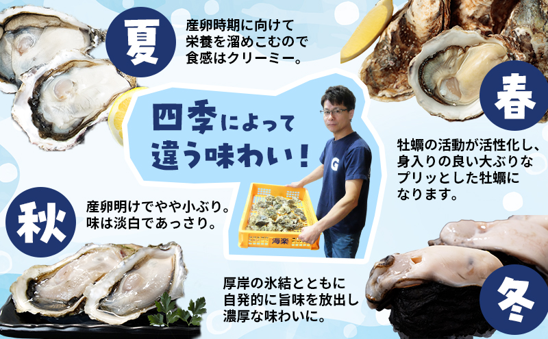 6ヵ月 定期便 牡蠣 生食 むき身 300g×1 無水パック 北海道 厚岸産 ちょびっと 牡蠣むいちゃいました【マルユウ海楽】[ カキ 牡蠣 貝 海のミルク ブランド牡蠣 海鮮 国産 むきかき 剥き身 少量 オイスター マルえもん ]