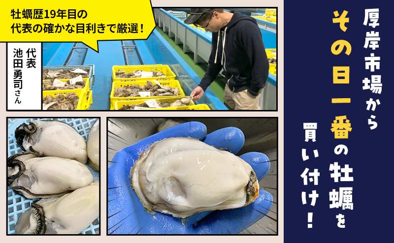6ヵ月 定期便 牡蠣 生食 むき身 300g×1 無水パック 北海道 厚岸産 ちょびっと 牡蠣むいちゃいました【マルユウ海楽】[ カキ 牡蠣 貝 海のミルク ブランド牡蠣 海鮮 国産 むきかき 剥き身 少量 オイスター マルえもん ]