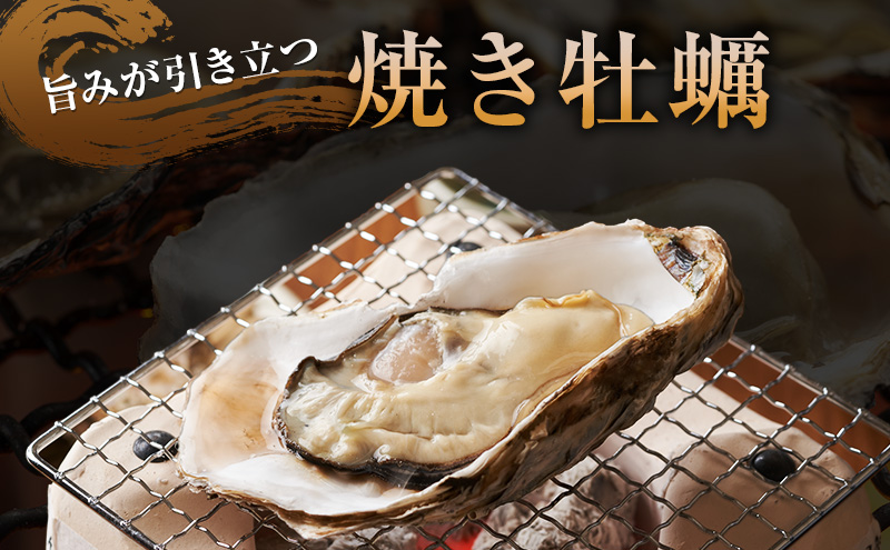 牡蠣 厚岸産殻牡蠣 LLサイズ 15個 セット 魚介類 産地直送 生牡蠣 オイスター 海の幸 海鮮 生食用 生食用牡蠣 