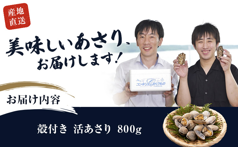 北海道 厚岸産 砂出し済み 活殻付き あさり 800g  新鮮 美味しい アサリ 貝 海鮮 北海道産 魚介 冷蔵 