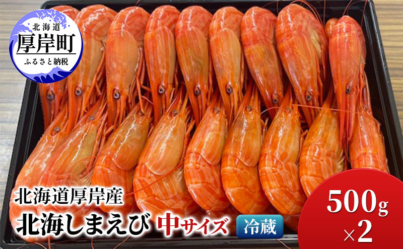 北海道 厚岸産 北海しまえび 中サイズ 500g×2 冷蔵 海老 エビ 
