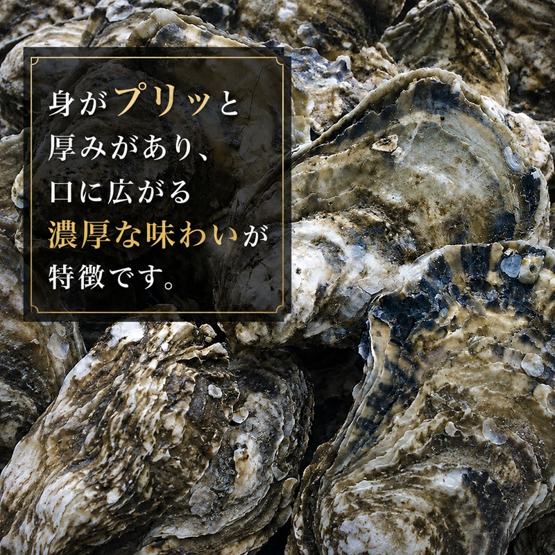 【厚岸漁協直売店特製】 かきガンガン焼 Lセット 15個 北海道 牡蠣 カキ かき  生牡蠣 殻付  魚介類 マルえもん