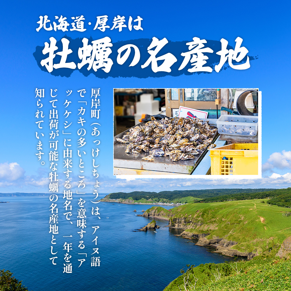 北海道 厚岸産  お手軽 生食用 剥き牡蠣 300g×1パック 【光輝】 [ ムキ牡蠣 むき身 生牡蠣 かき カキ 生 ムキカキ むきがき むき牡蠣 ムキガキ ] 