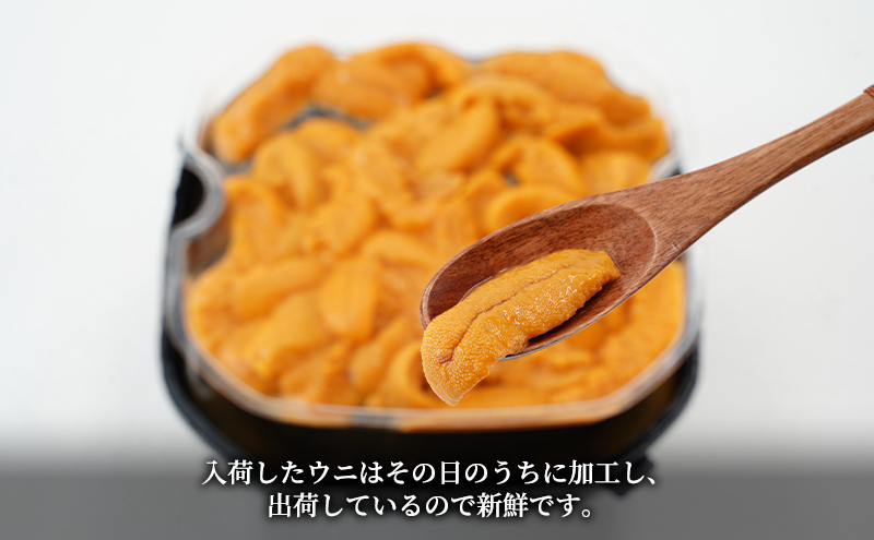 うに 北海道産 バフンウニ 塩水パック 100g×1 【マルタク水産】[ 雲丹 ウニ 新鮮 海産物 冷蔵 濃厚 甘い 国産 ] 