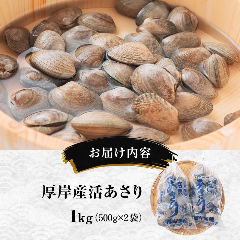 訳あり あさり 北海道 厚岸産 砂出し済み 活あさり 1kg(500g×2)【厚岸海産】[ アサリ 浅利 魚貝 海鮮 大粒 美味しい 栄養 旨み 砂出し 水洗い 冷蔵 便利 厚岸町 ]