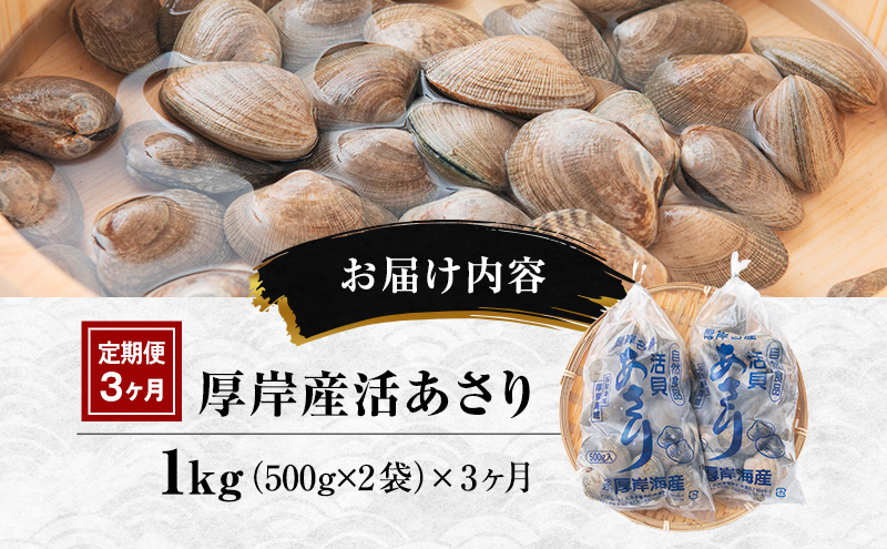 【3カ月 定期便 】訳あり 北海道 厚岸産 砂出し済み 活あさり 500g×2 (合計1kg) 【厚岸海産】[ アサリ 魚貝 海鮮 大粒 美味しい 栄養 旨み 砂出し 水洗い 冷蔵 便利 ] 
