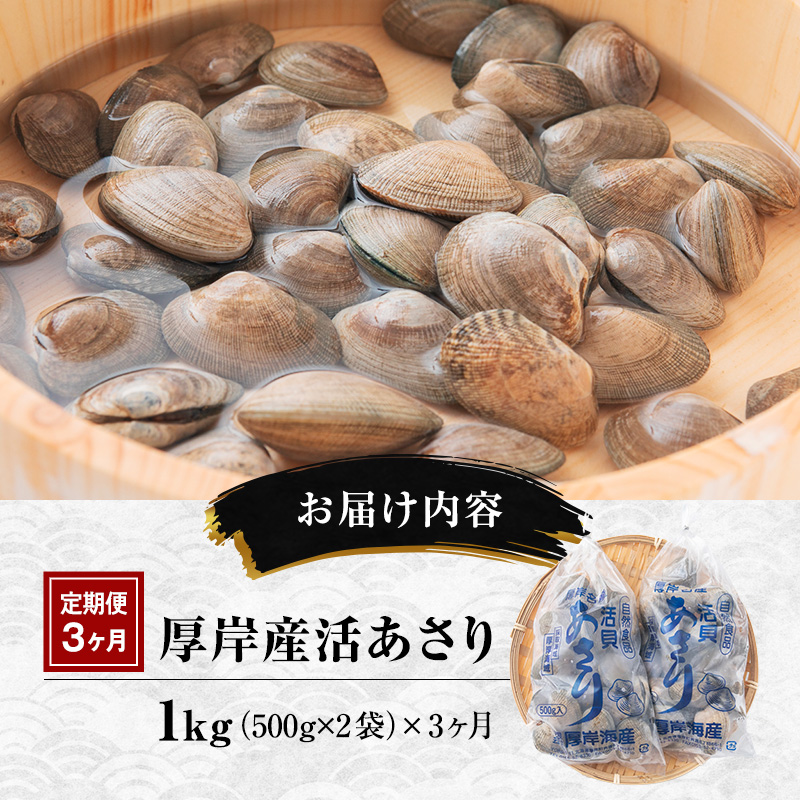 3ヵ月 定期便 訳あり あさり 北海道 厚岸産 砂出し済み 活あさり 1kg(500g×2)【厚岸海産】[ アサリ 浅利 魚貝 海鮮 大粒 美味しい 栄養 旨み 砂出し 水洗い 冷蔵 便利 厚岸町 ]