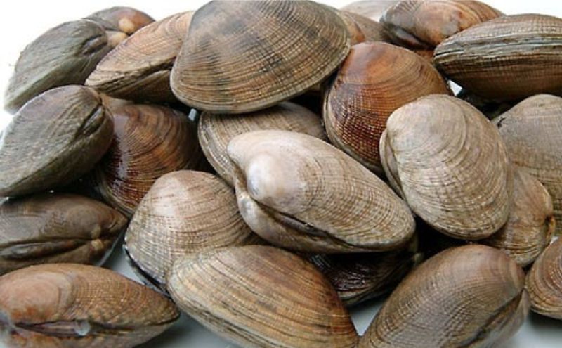 【Amazon.co.jp限定】北海道厚岸町産冷凍あさり250g ×4パック (合計約1,000g)　小分け