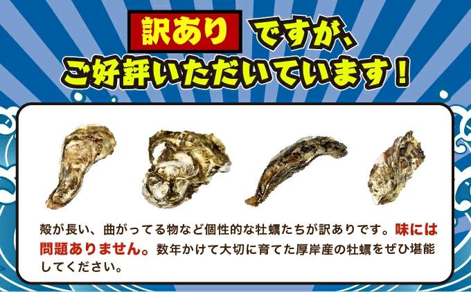北海道 厚岸産 牡蠣 約4kg 海鮮 セット 訳あり × 北海道産 ホタテ 750g (250g×3)  ホタテ 牡蠣 ほたて 刺身  帆立 貝柱 カキ 生牡蠣 殻付 海鮮丼 魚介 貝 ふるさと 贈答用 人気 厚岸町 白糠町