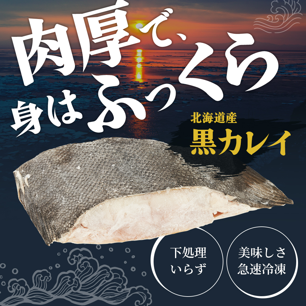 北海道産 訳あり黒かれい 切身 1kg 鰈 カレイ 煮つけ 魚 魚類 海魚 海鮮 北海道 厚岸町