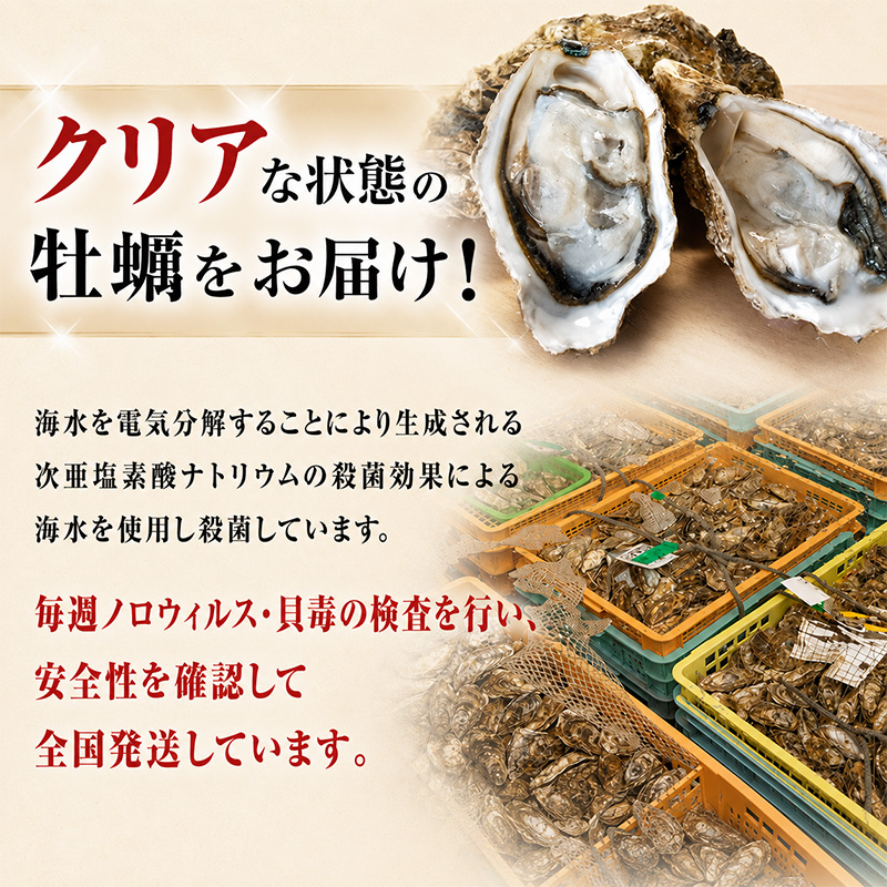 5月配送 訳あり 牡蠣 北海道厚岸産 殻付カキ 約4kg (25から50個) カキナイフ付 生食 生牡蠣 貝付き牡蠣 貝 海鮮 魚介類 殻付き牡蠣 マルえもん