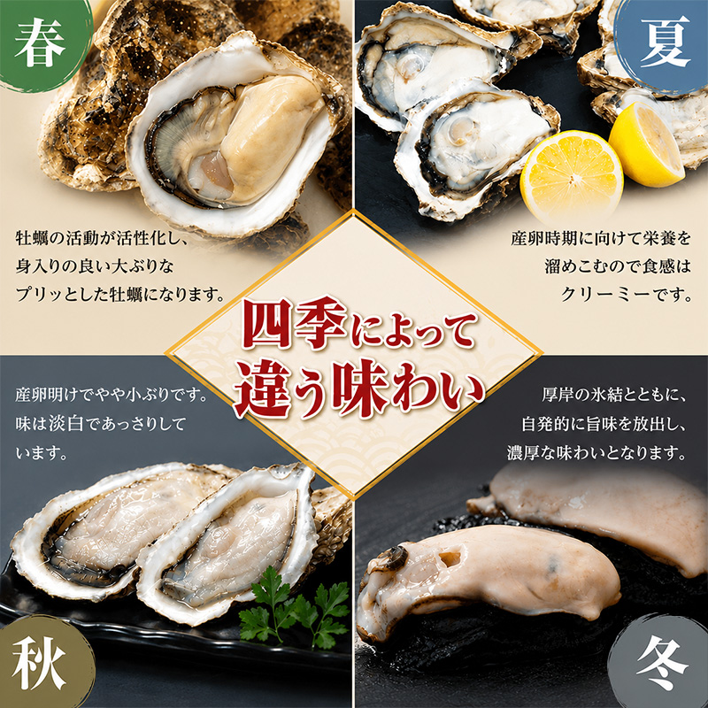 9月配送 訳あり 牡蠣 北海道厚岸産 殻付カキ 約4kg (25から50個) カキナイフ付 生食 生牡蠣 貝付き牡蠣 貝 海鮮 魚介類 殻付き牡蠣 マルえもん