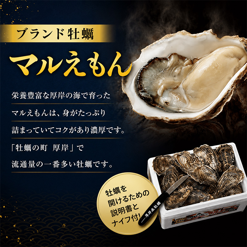 10月配送 訳あり 牡蠣 北海道厚岸産 殻付カキ 約4kg (25から50個) カキナイフ付 生食 生牡蠣 貝付き牡蠣 貝 海鮮 魚介類 殻付き牡蠣 マルえもん