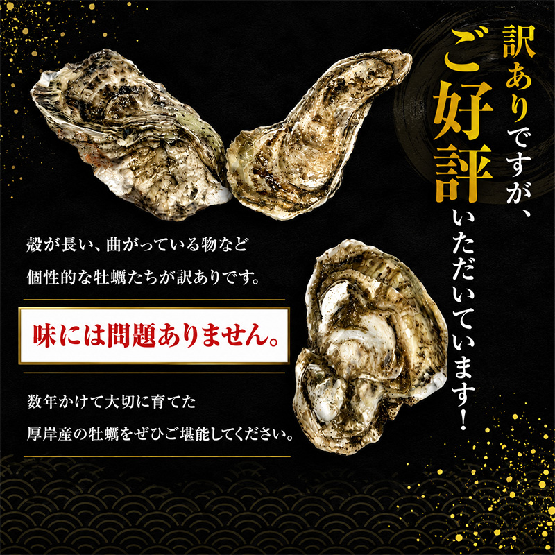 10月配送 訳あり 牡蠣 北海道厚岸産 殻付カキ 約4kg (25から50個) カキナイフ付 生食 生牡蠣 貝付き牡蠣 貝 海鮮 魚介類 殻付き牡蠣 マルえもん