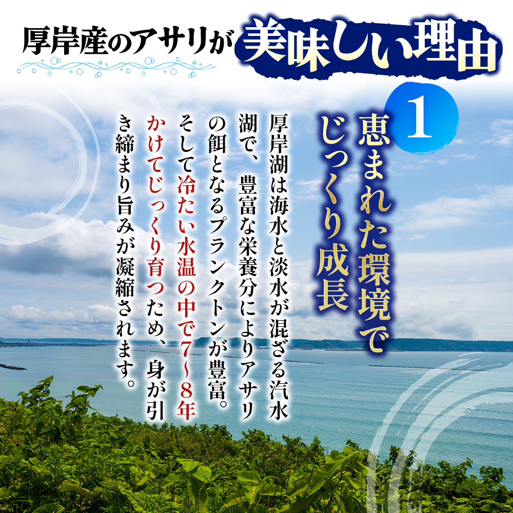 北海道 厚岸産 あさり 500g×1パック (合計500g) 大中混合 アサリ 魚貝 海 美味しい 栄養 旨み 砂出し 水洗い 冷蔵 冷凍保存可能 便利