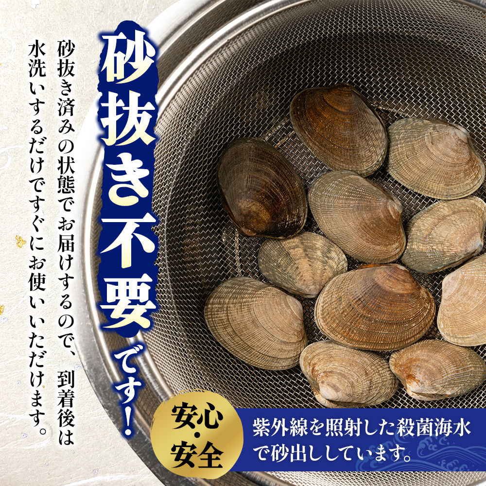 北海道 厚岸産 あさり 500g×1パック (合計500g) 大中混合 アサリ 魚貝 海 美味しい 栄養 旨み 砂出し 水洗い 冷蔵 冷凍保存可能 便利