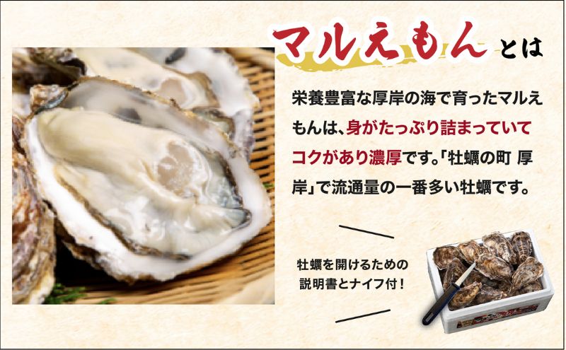 北海道厚岸産 生食用 殻付カキ Mサイズ  12個　マルえもん 魚貝類 海の幸 海のミルク 海鮮 国産 北海道産 オイスター つまみ お酒 あて 肴 生牡蠣 メルマガ掲載商品1