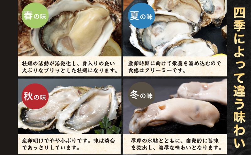 北海道厚岸産 生食用 殻付カキ Mサイズ  12個　マルえもん 魚貝類 海の幸 海のミルク 海鮮 国産 北海道産 オイスター つまみ お酒 あて 肴 生牡蠣 メルマガ掲載商品1